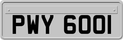 PWY6001