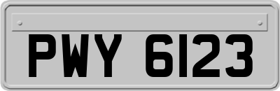 PWY6123