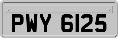 PWY6125