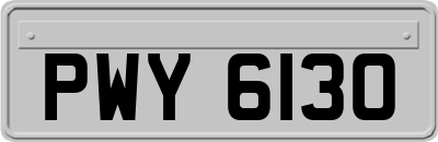 PWY6130