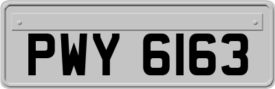 PWY6163