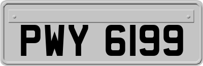 PWY6199