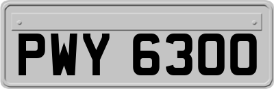 PWY6300