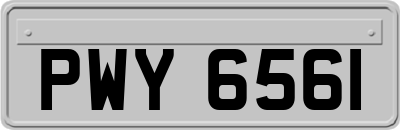 PWY6561