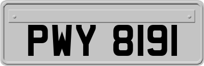 PWY8191