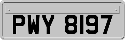 PWY8197