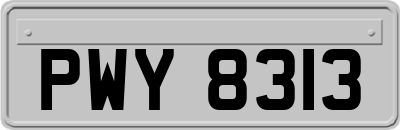 PWY8313