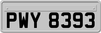 PWY8393