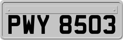 PWY8503