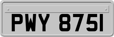 PWY8751