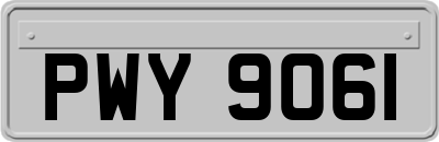 PWY9061