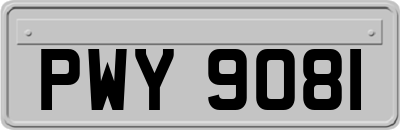 PWY9081