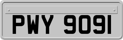 PWY9091