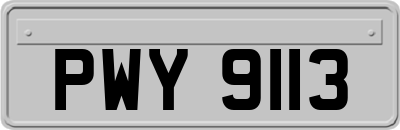 PWY9113