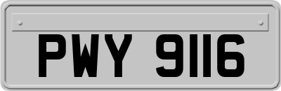 PWY9116