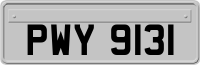 PWY9131