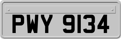 PWY9134