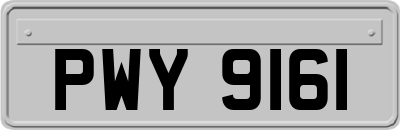 PWY9161