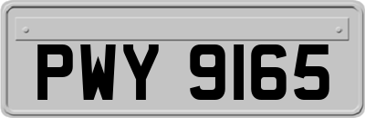 PWY9165