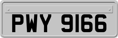 PWY9166