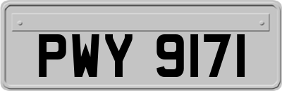 PWY9171