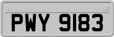 PWY9183