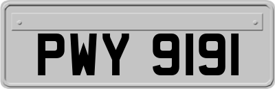 PWY9191