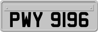 PWY9196