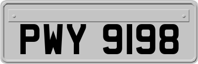 PWY9198