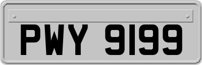 PWY9199