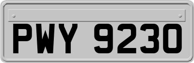 PWY9230