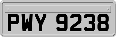 PWY9238