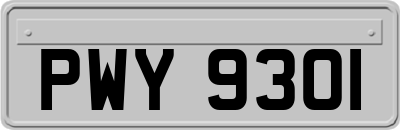 PWY9301