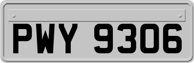 PWY9306