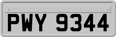 PWY9344