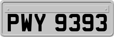 PWY9393