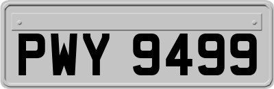 PWY9499