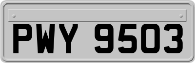 PWY9503