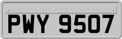 PWY9507