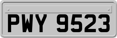 PWY9523