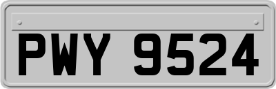 PWY9524