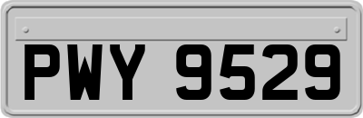 PWY9529