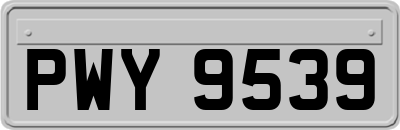 PWY9539