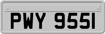 PWY9551