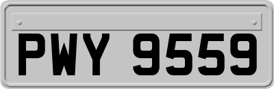 PWY9559