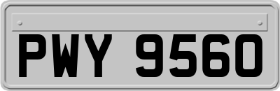 PWY9560