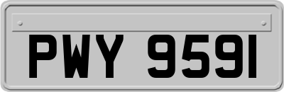 PWY9591