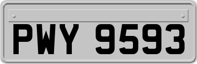 PWY9593