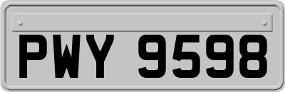 PWY9598