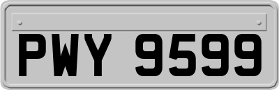 PWY9599